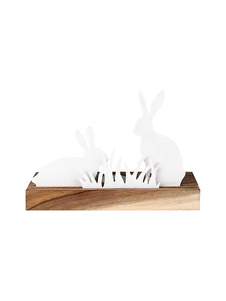 RAEDER | Oggetto luminoso HASENWIESE 20x7x14cm Bianco | 